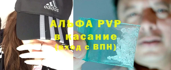 крисы Баксан