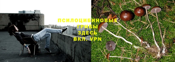 Альфа ПВП Балахна